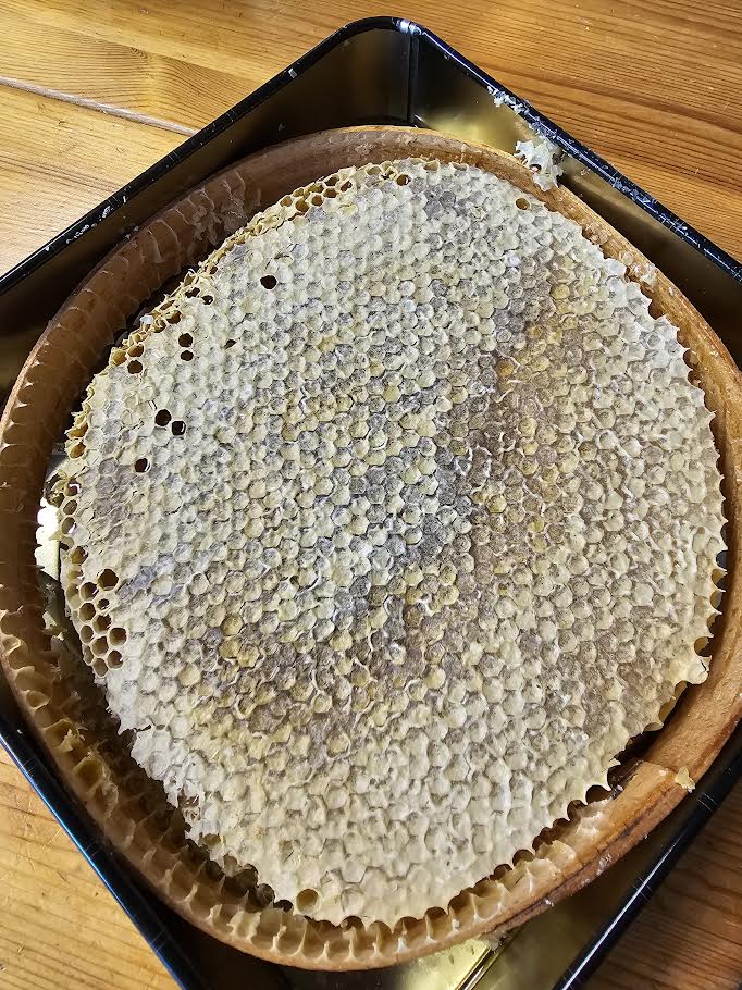 Anteplim Karakovan Petek Balı 1.100g–1.200g | Doğal ve Katkısız