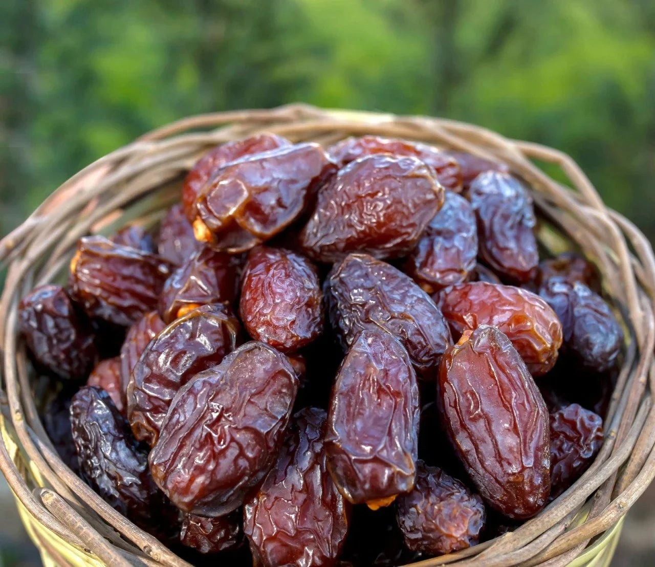 Anteplim Jumbo Medjool Hurma 500 g – Premium, Yumuşak & Doğal