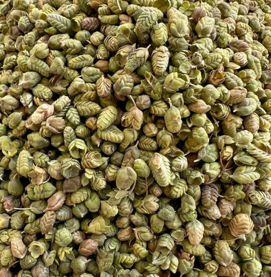 Anteplim Türkischer Kugelthymian (Bilye Kekik) 150 g im wiederverschließbaren Standbodenbeutel