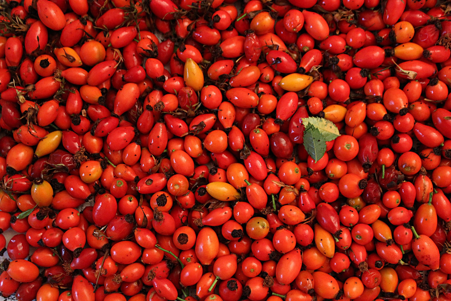 Rosehip Jam 450g – Traditional Turkish Fruit Preserve