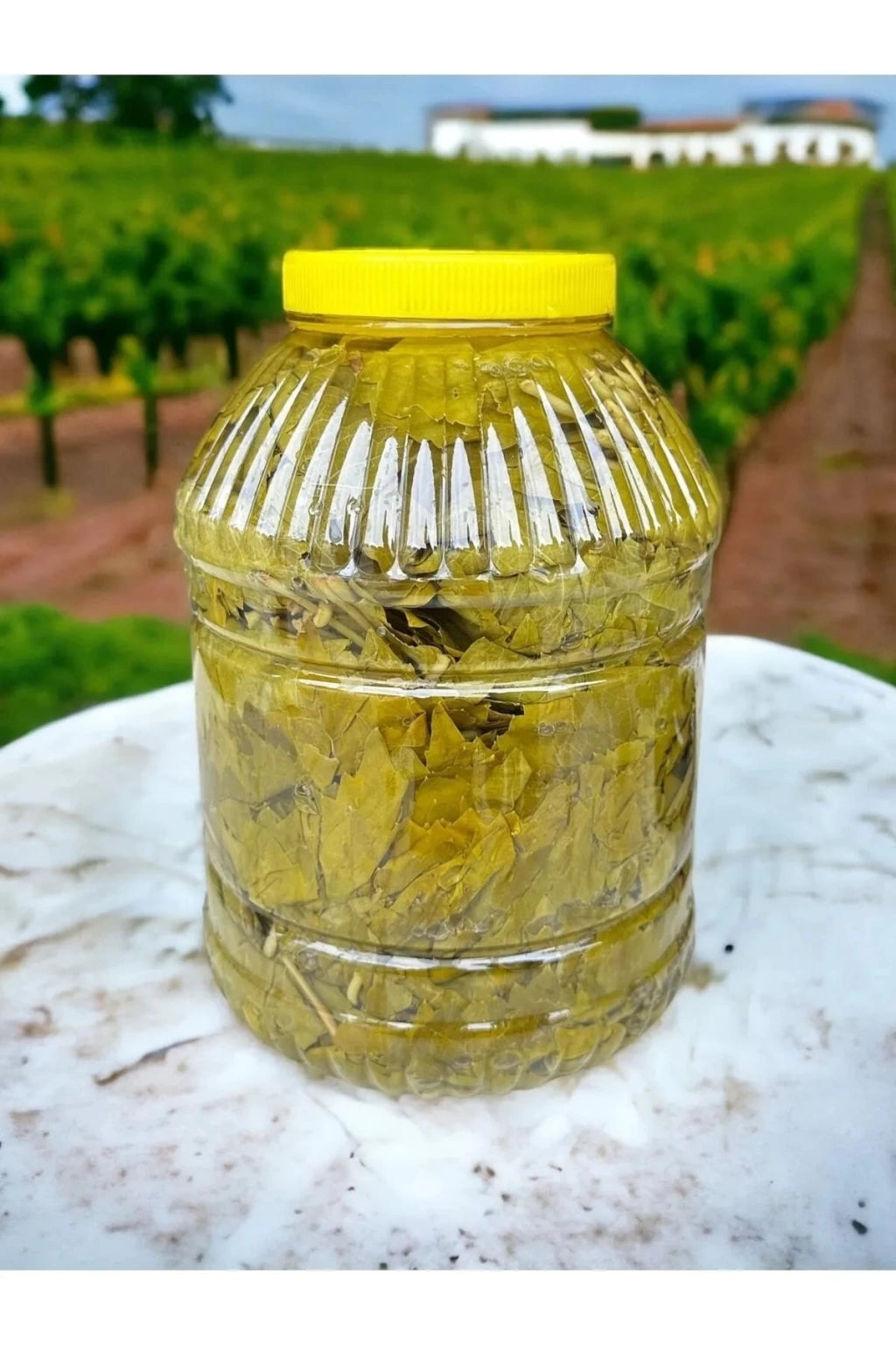 Manisa Weinblätter in Salzlake – 3kg Eimer – Premium Qualität