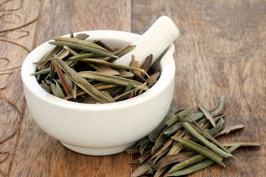 Zeytin Yaprağı 30g