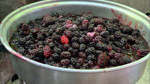 Maulbeersirup 1kg – Traditioneller Karadut Pekmez aus Elazığ