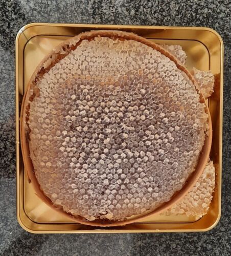 Echter Karakovan-Wabenhonig 1100–1200g – Natürlich &Unverarbeitet