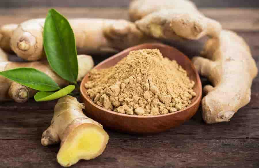 Anteplim Zencefil Tozu 250g