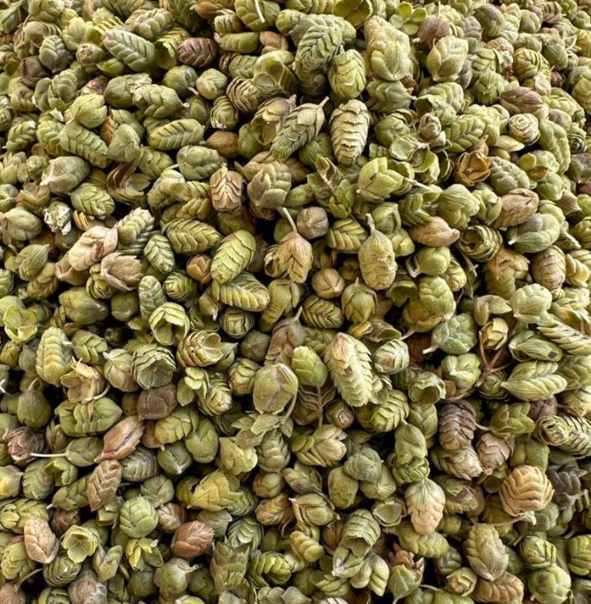 Anteplim Turkish Ball Thyme (Bilye Kekik) 150 g – Aromatic Gaziantep Thyme