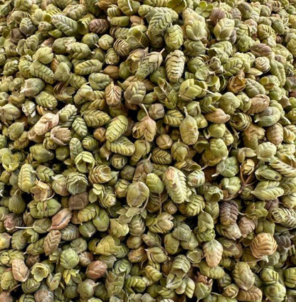 Anteplim Türkischer Kugelthymian (Bilye Kekik) 150 g im wiederverschließbaren Standbodenbeutel