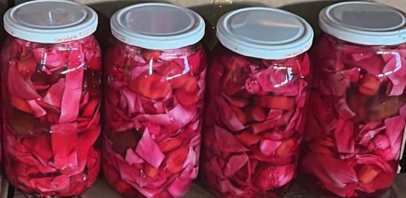 Hausgemachter Eingelegter Rotkohl (Mor Lahana Turşusu) 1 kg im Glas – 100 % Natürlich & Authentisch | Anteplim