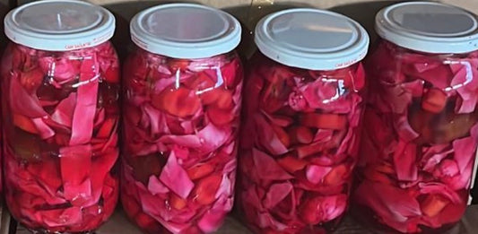 Hausgemachter Eingelegter Rotkohl (Mor Lahana Turşusu) 1 kg im Glas – 100 % Natürlich & Authentisch | Anteplim