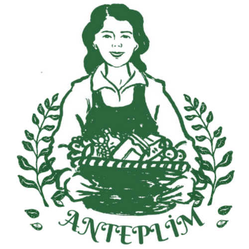 anteplim logo