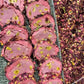 Hacıbaba Gül, Ahududu ve Fıstıklı Lokum 500g