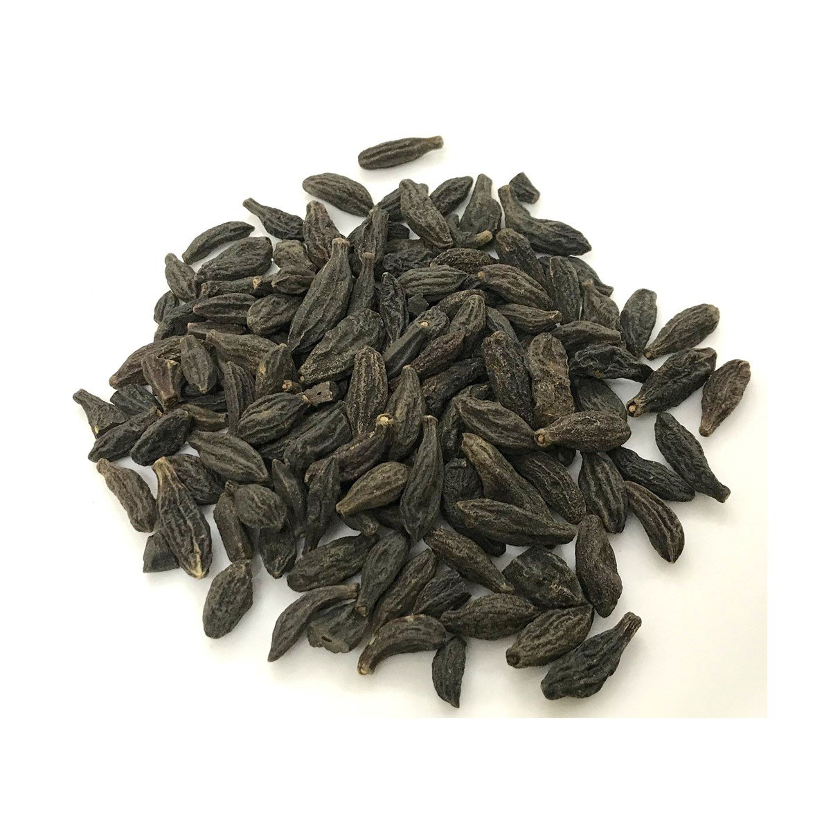 Dark elongated and ridged Black Myrobalan fruits arranged on a white background