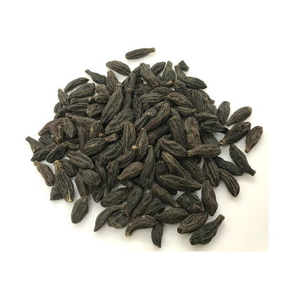 Dark elongated and ridged Black Myrobalan fruits arranged on a white background