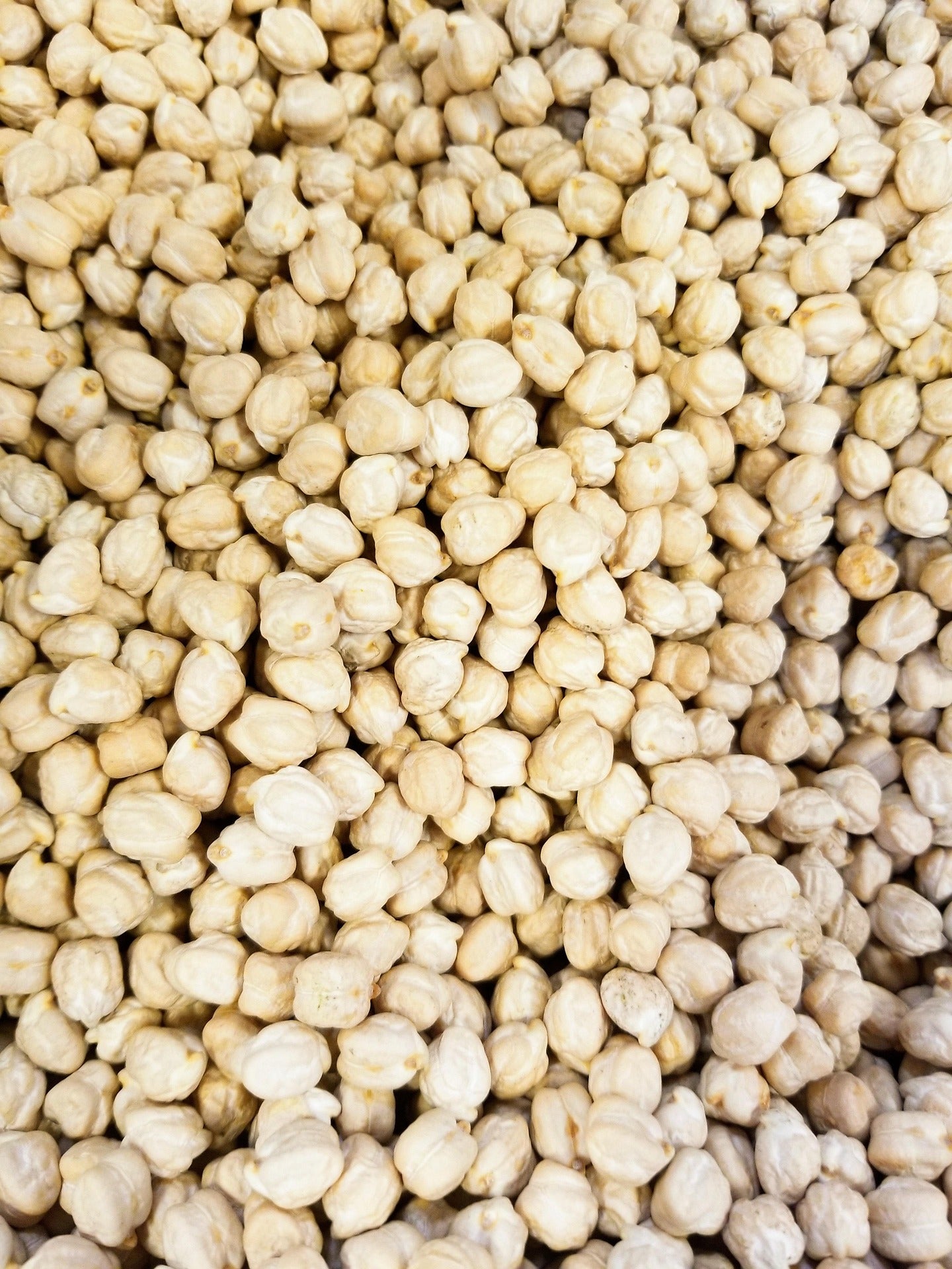 Anteplim Koçbaşı Chickpeas 1 kg – Premium Large Turkish Chickpeas