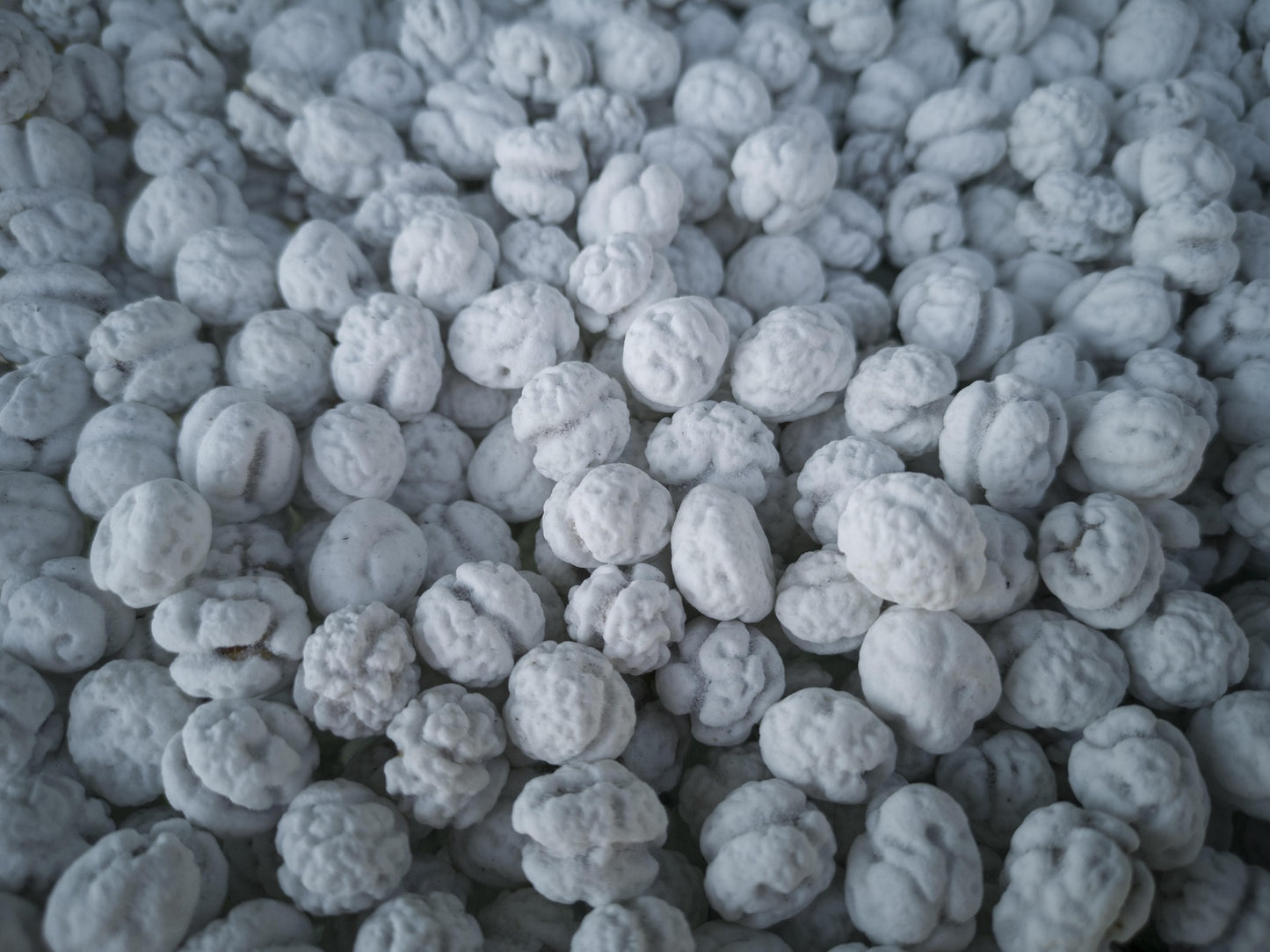 Anteplim Gezuckerte Leblebi – Weiße Zucker-Kichererbsen 1000g