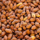 Anteplim Roasted Salted Peanuts 800 g – Crunchy Premium Peanut Snack