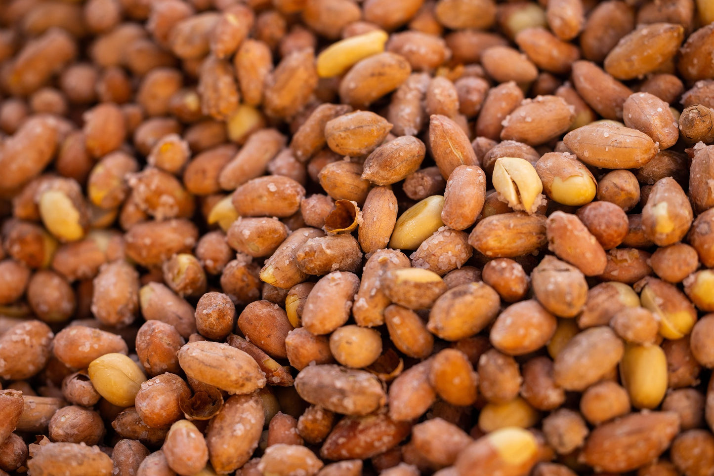 Anteplim Roasted Salted Peanuts 800 g – Crunchy Premium Peanut Snack