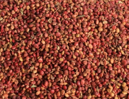 Anteplim Ganze Sumachfrüchte aus Gaziantep & Şanlıurfa 100 g – Naturbelassen