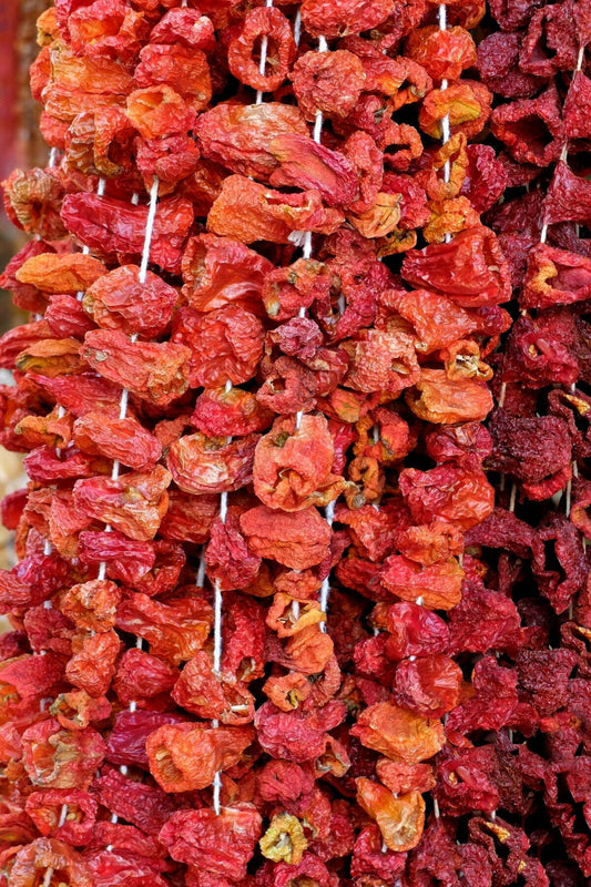 Hollow dried red and orange peppers threaded closely together on white strings, showing wrinkled surfaces