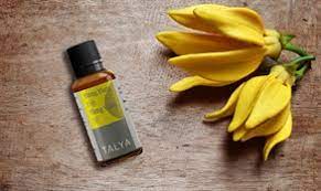 Soğuk Sıkım Ylang Ylang Yağı 20 ml - Saf Esansiyel Yağ