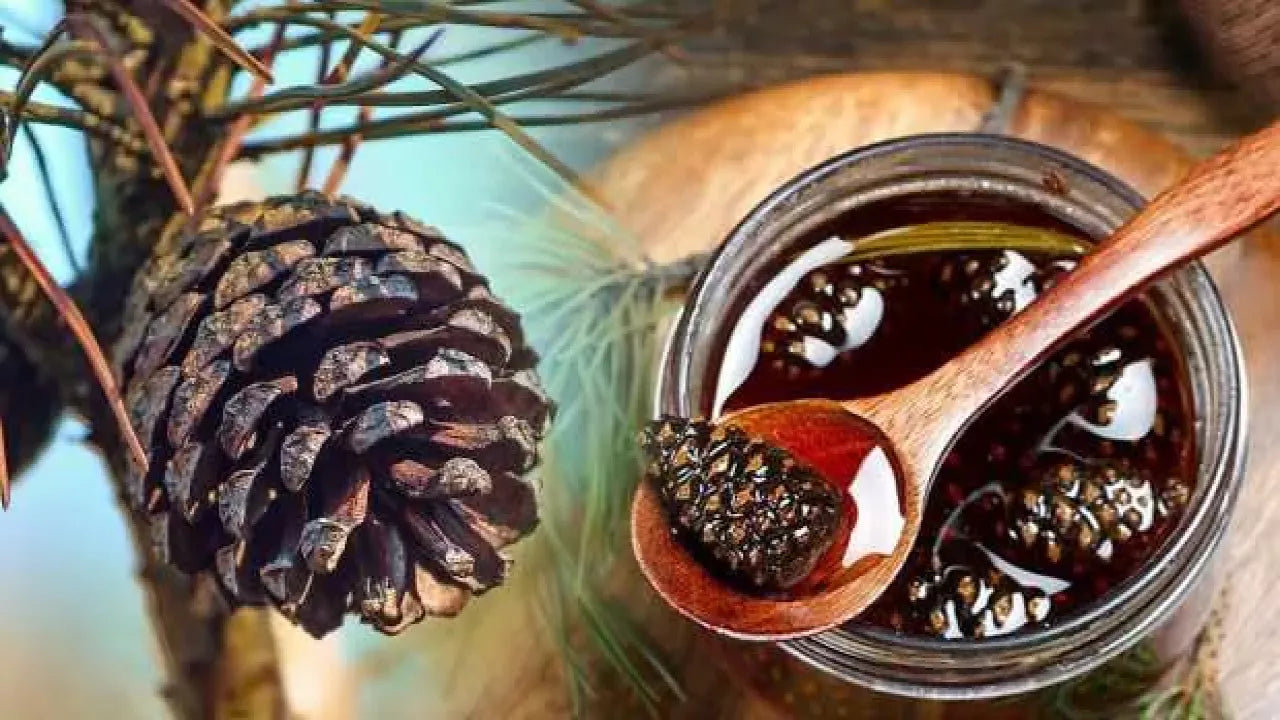 Kozalak Pekmezi 800 gr – ANTEPLİM